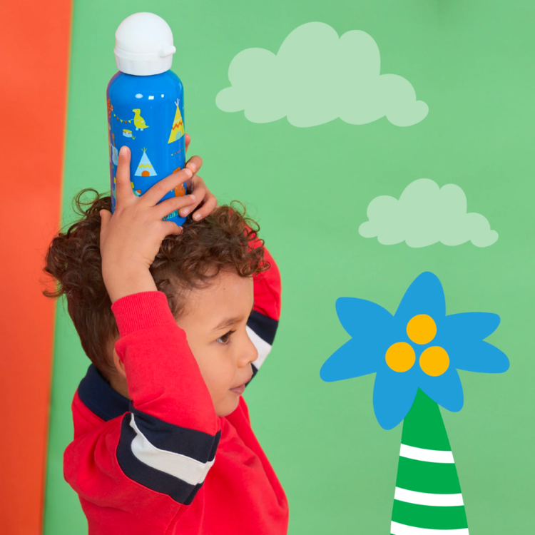 Penny Scallan Drink Bottle Dino Rock