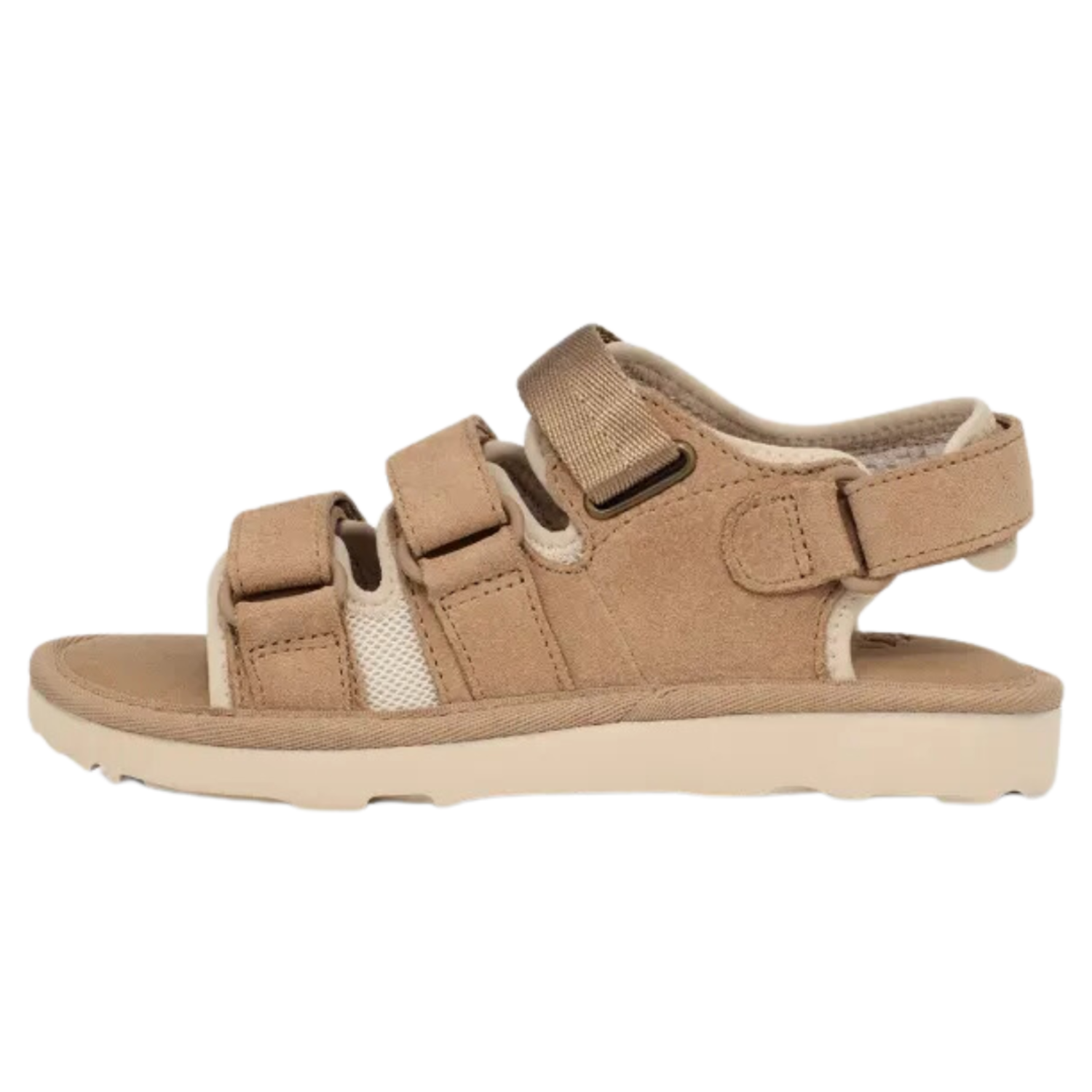 UGG サンダル GOLDENCOAST MULTISTRAP Shop Goldencoast Multistrap Sandal on Sale at BeyondStyle