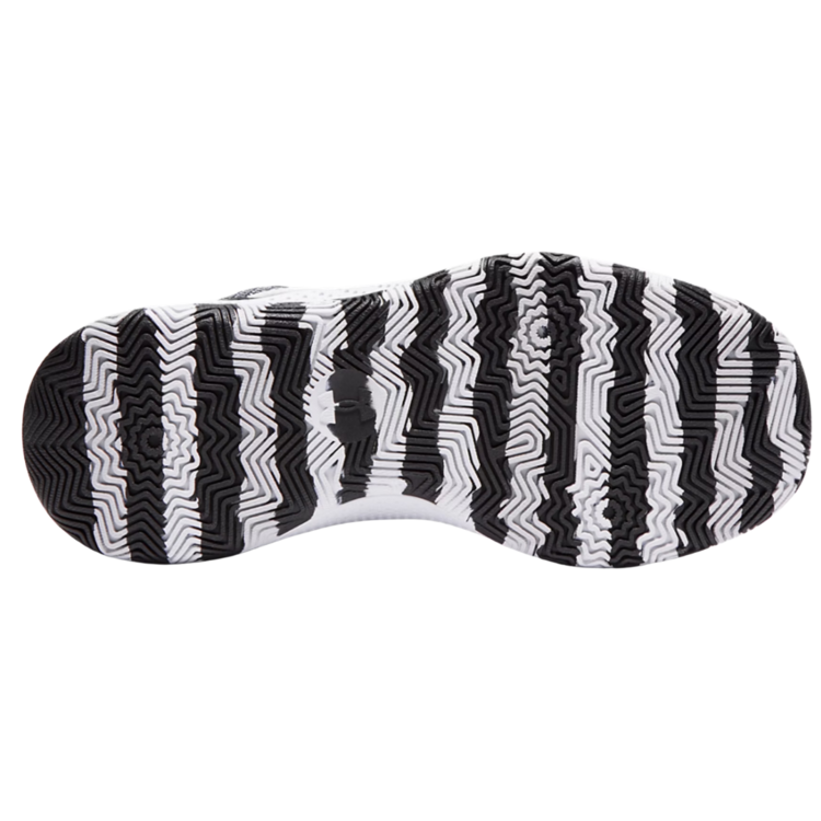 Under Armour Under Armour GS Curry 3Z 24 Black/Halo Gray