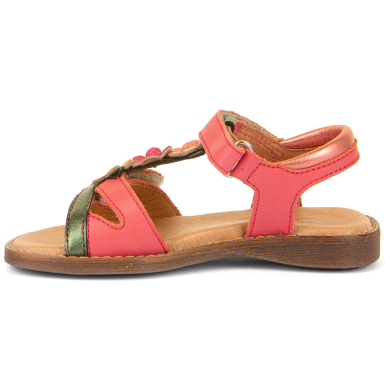 Froddo Froddo Lore Lola Coral