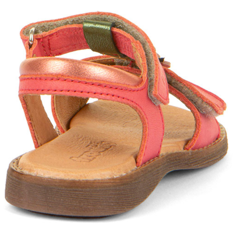 Froddo Froddo Lore Lola Coral