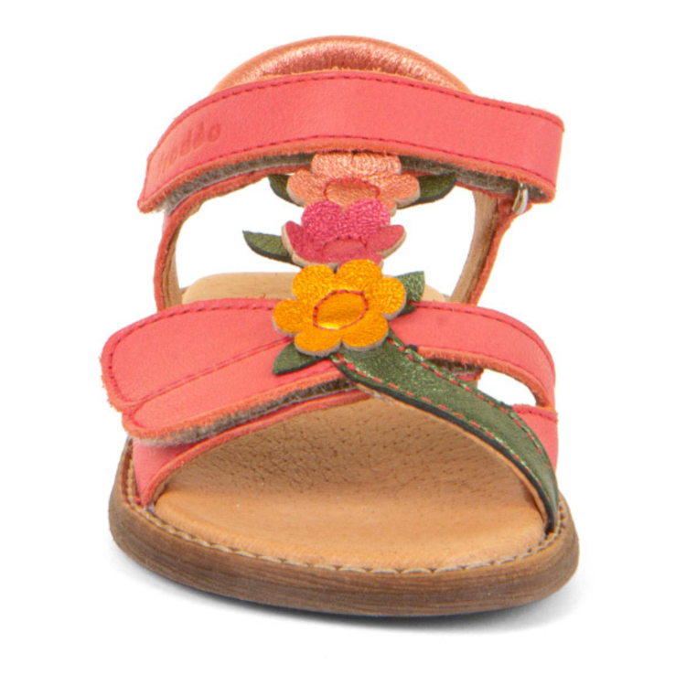 Froddo Froddo Lore Lola Coral