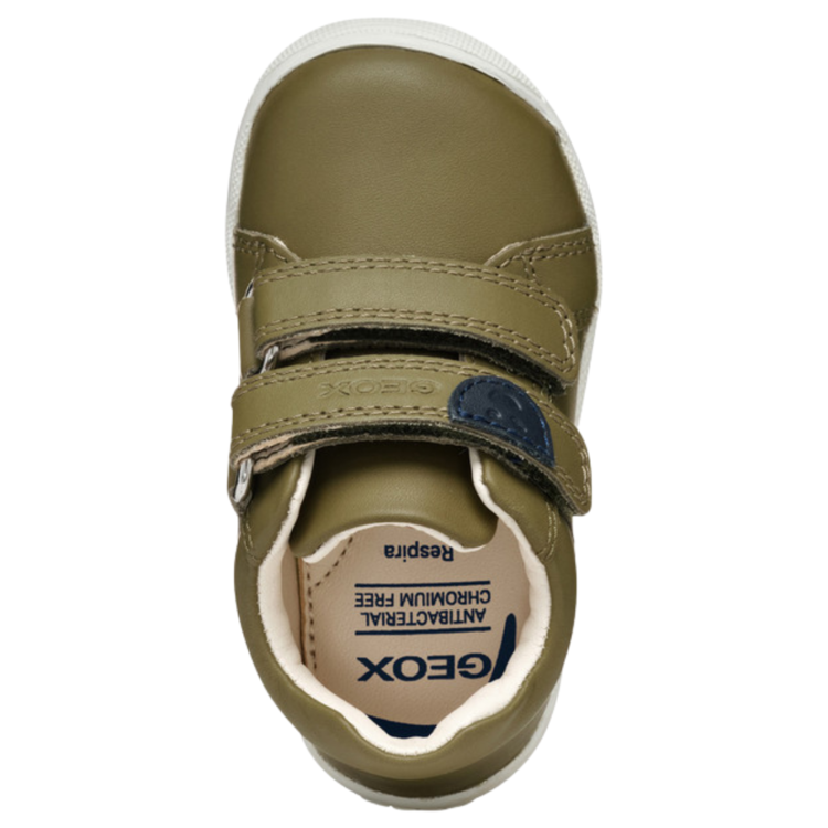 Geox Geox B Macchia Pistachio