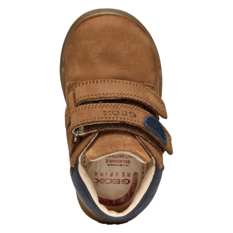 Geox Geox B Macchia Whisky