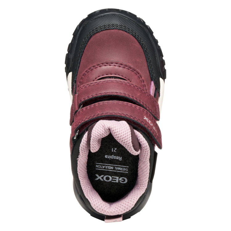 Geox Geox B Trekkyup ABX Burgundy/Rose