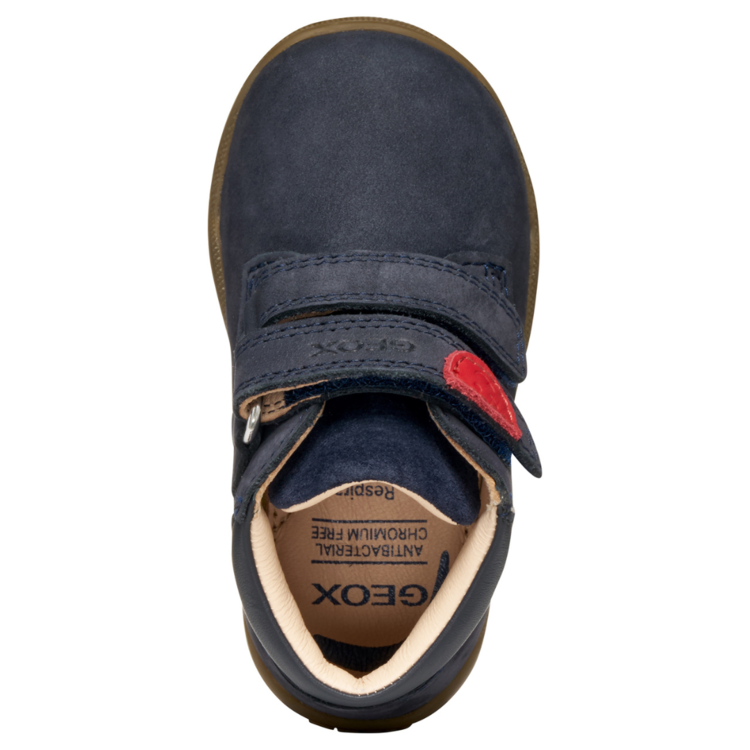 Geox Geox B Macchia Navy (F25)