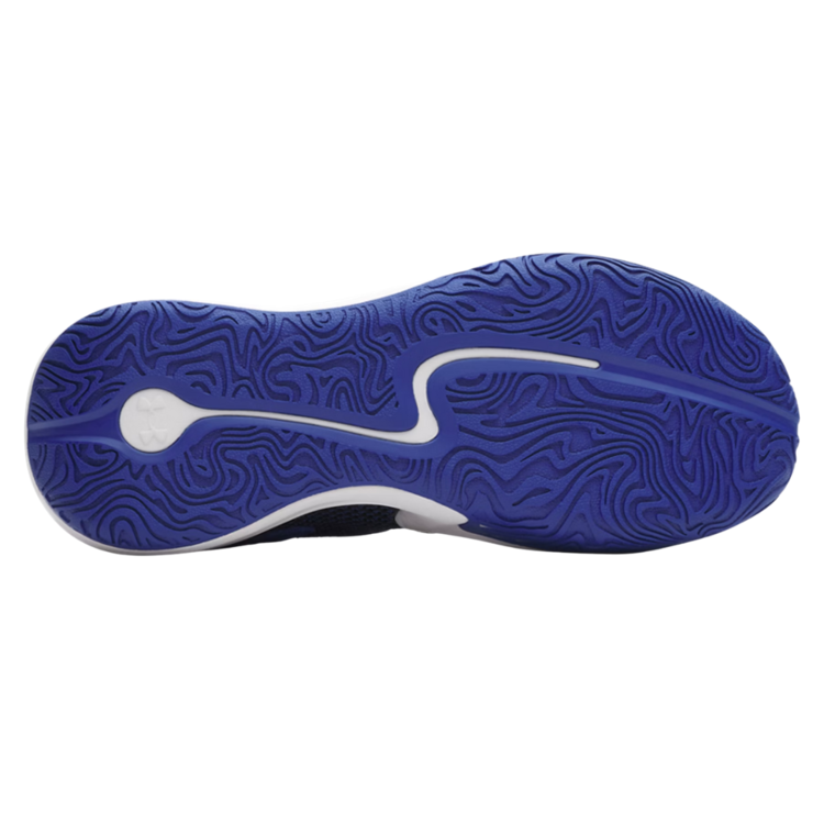 Under Armour Under Armour Men's Curry 3Z 25 SDE Royal/White/Black