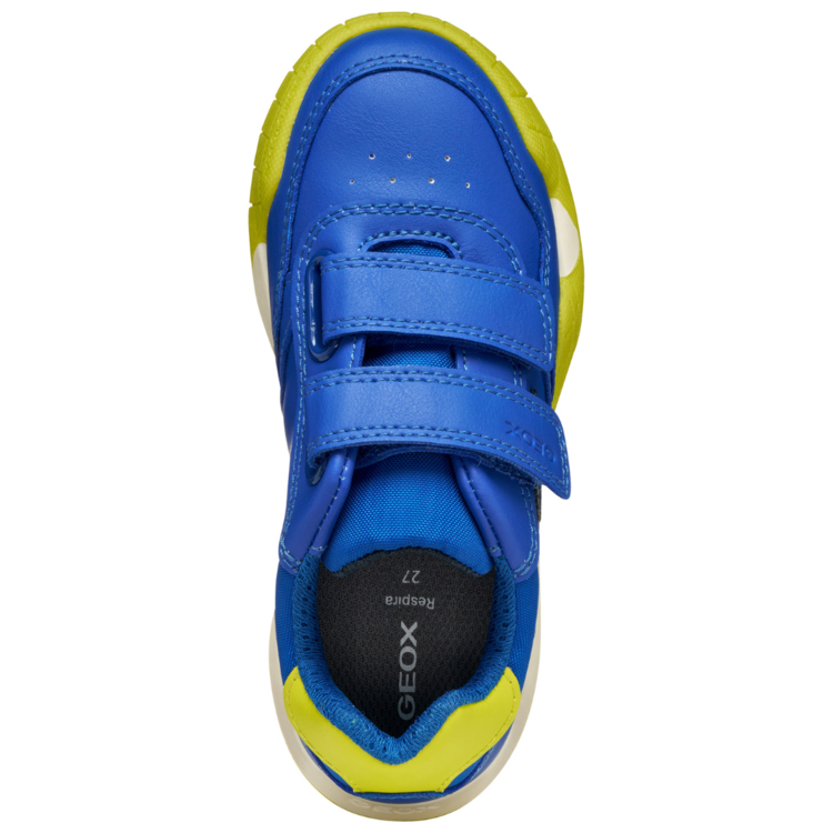 Geox Geox J Rann Royal/Lime