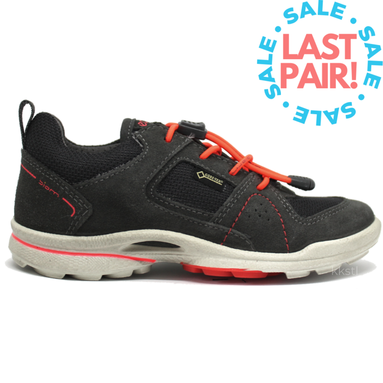 Ecco Ecco Biom Ultra GTX Dk Shadow/Titanium