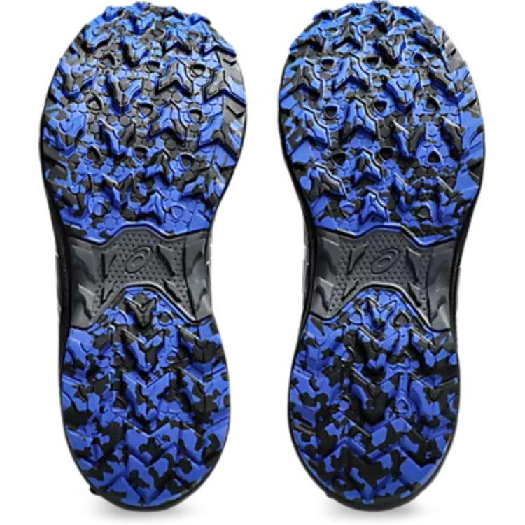 Asics Asics Men's Gel Venture 10 Carrier Grey/Black