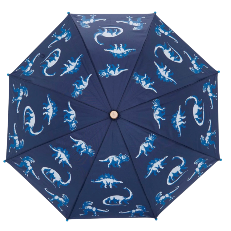 Hatley Hatley Painted Dino Umbrella