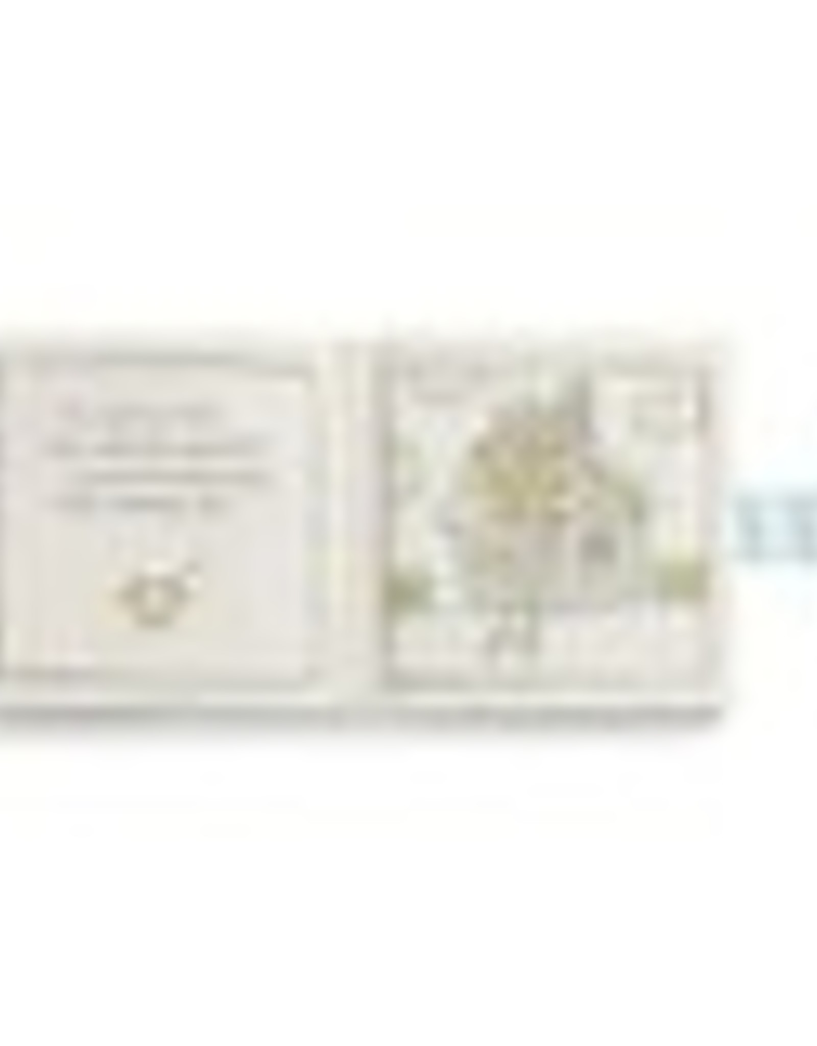 Demdaco 5004700791 The Story of Noah Soft Book