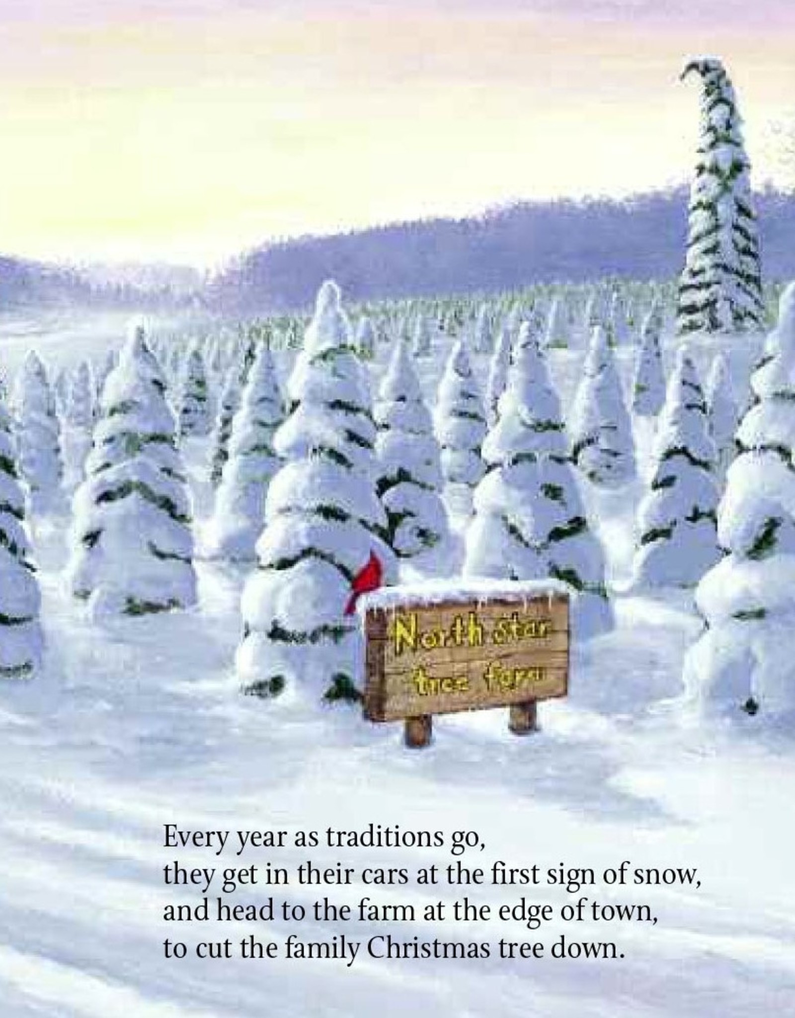 Sleeping Bear Press A Wish to be a Christmas Tree Board book