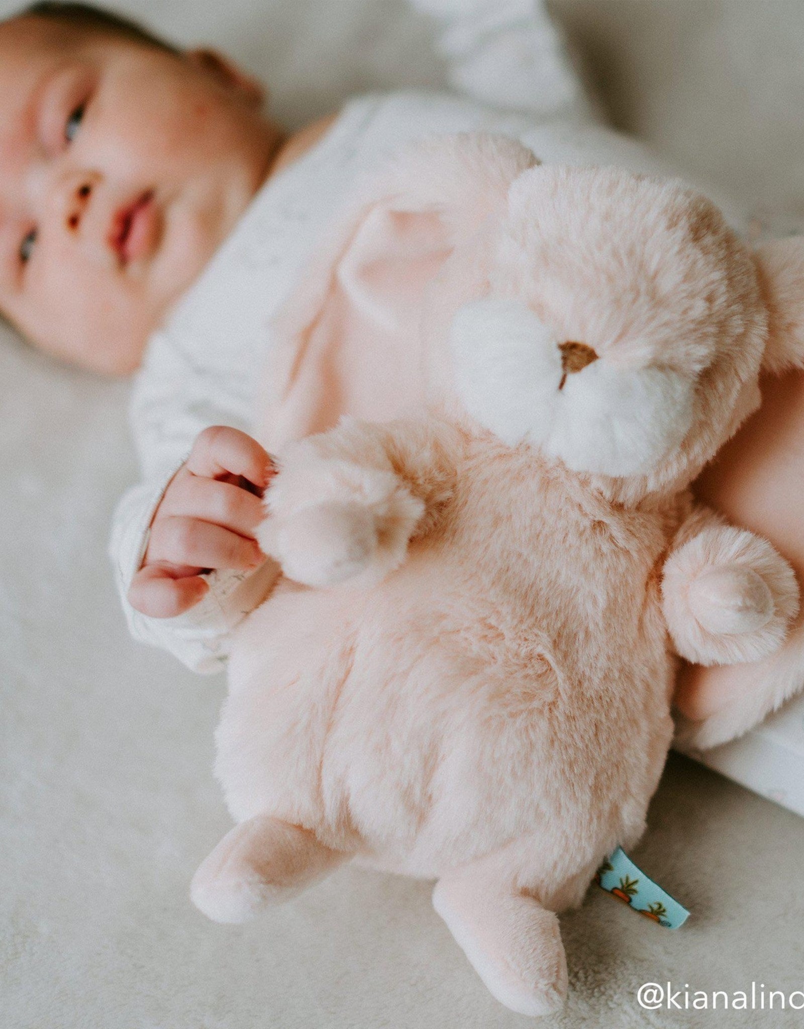 Bunnies By The Bay 100405 Tiny Nibble 8" pink