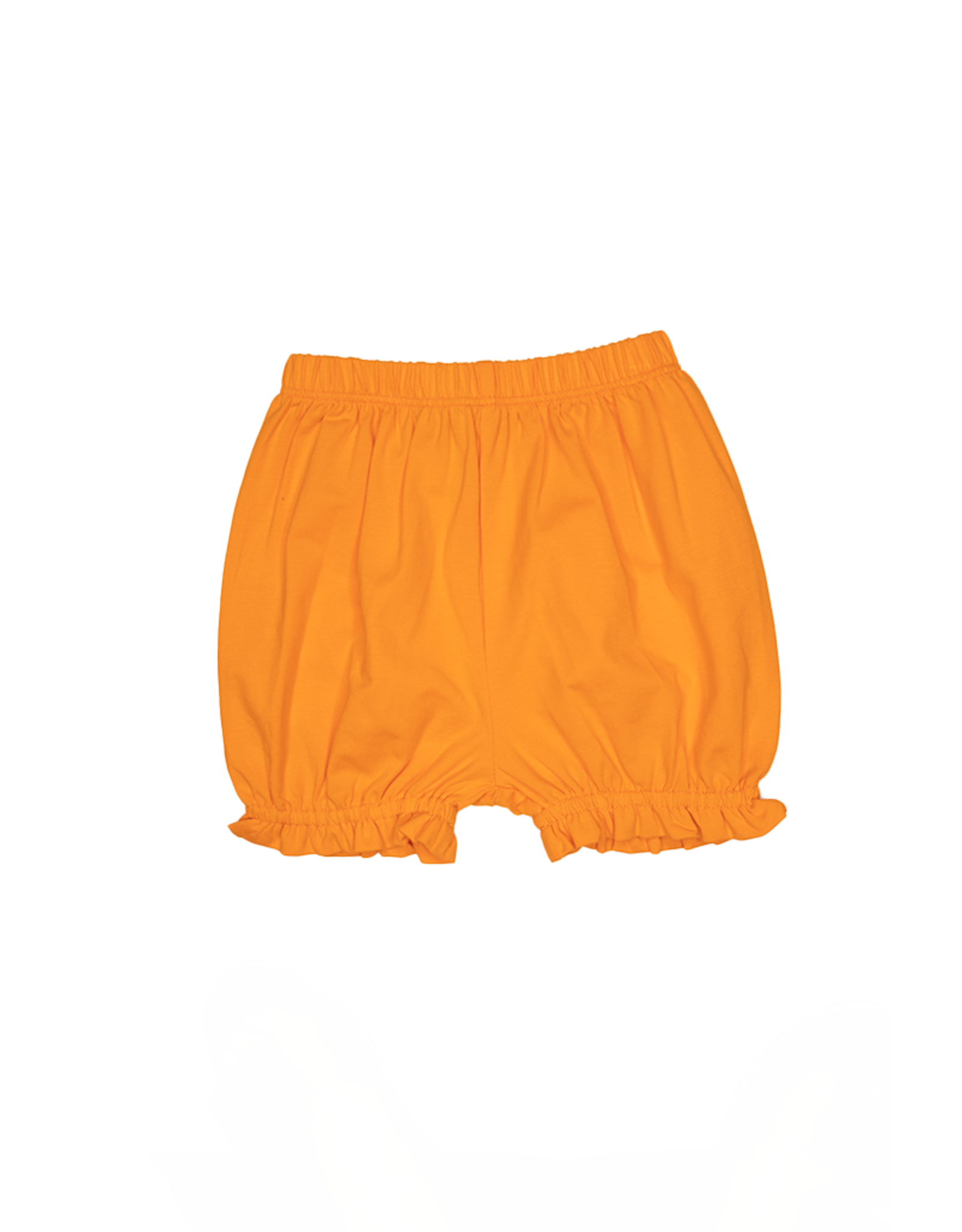 Ishtex 2F028 Grey/Orange Dog Bloomer Set