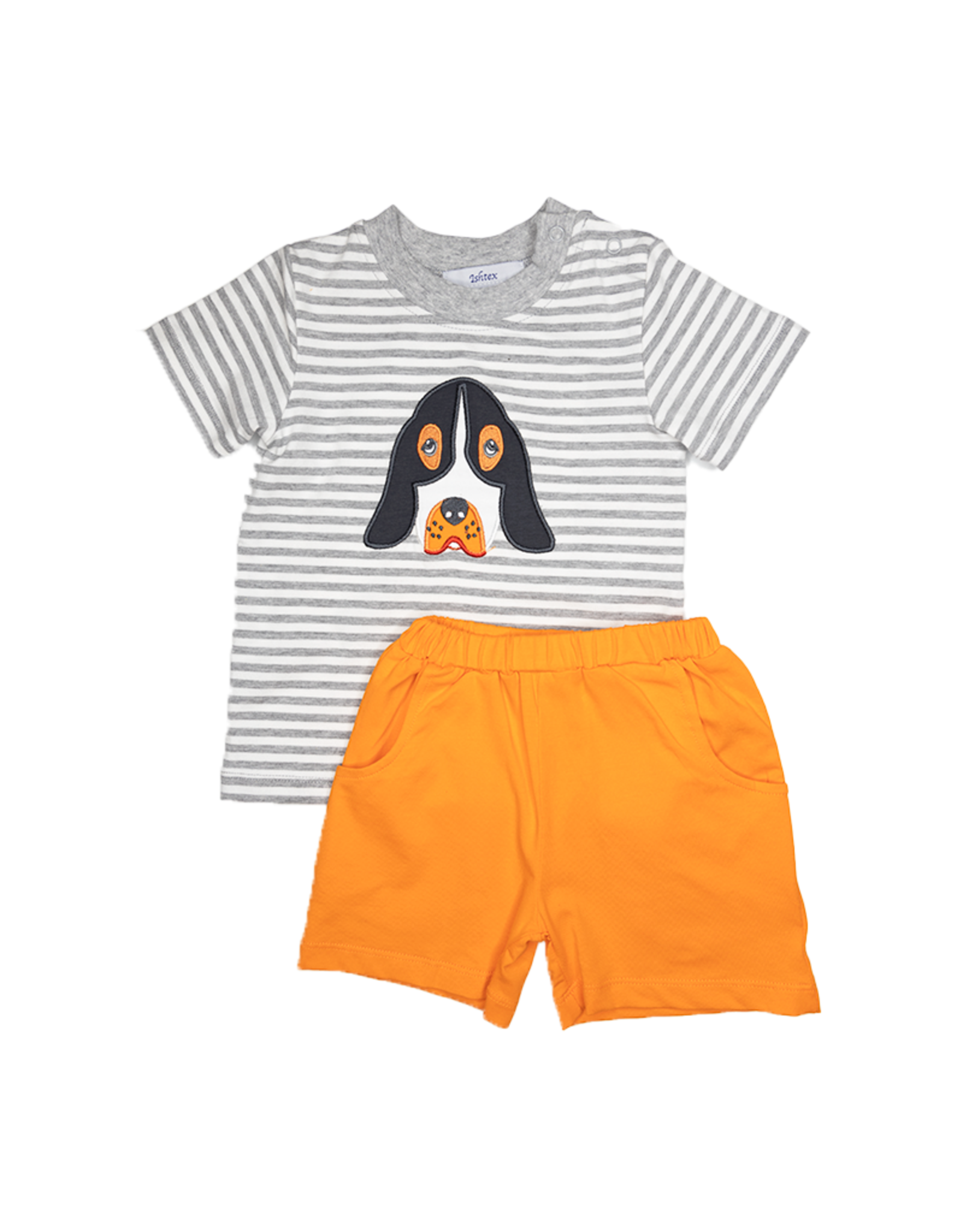 Ishtex 2F033 Grey/Orange Dog Short Set