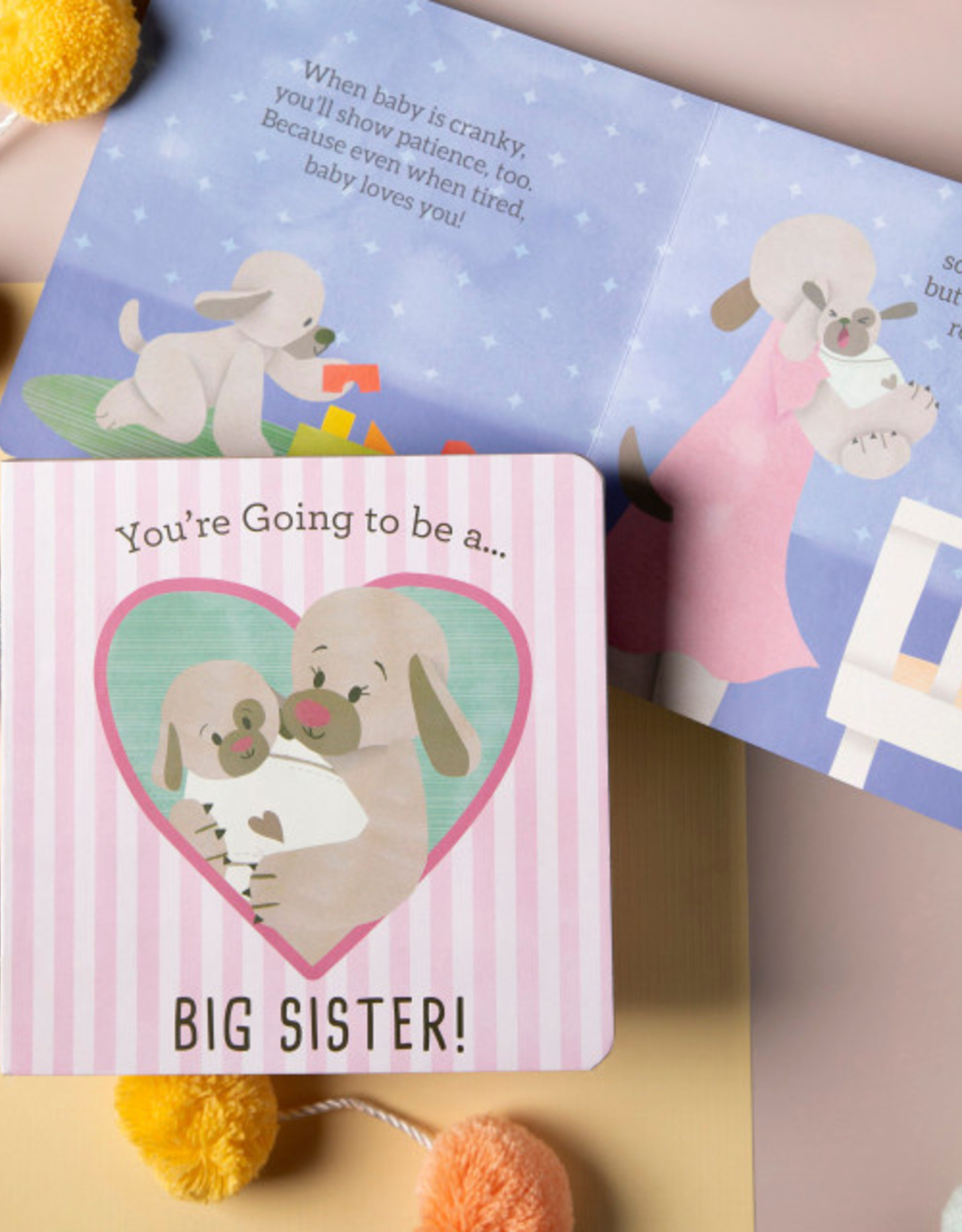 Demdaco 5004840030 You're Going to be a Big Sister Book
