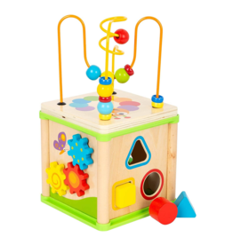 Hauck Toys Little Bug Training Cube