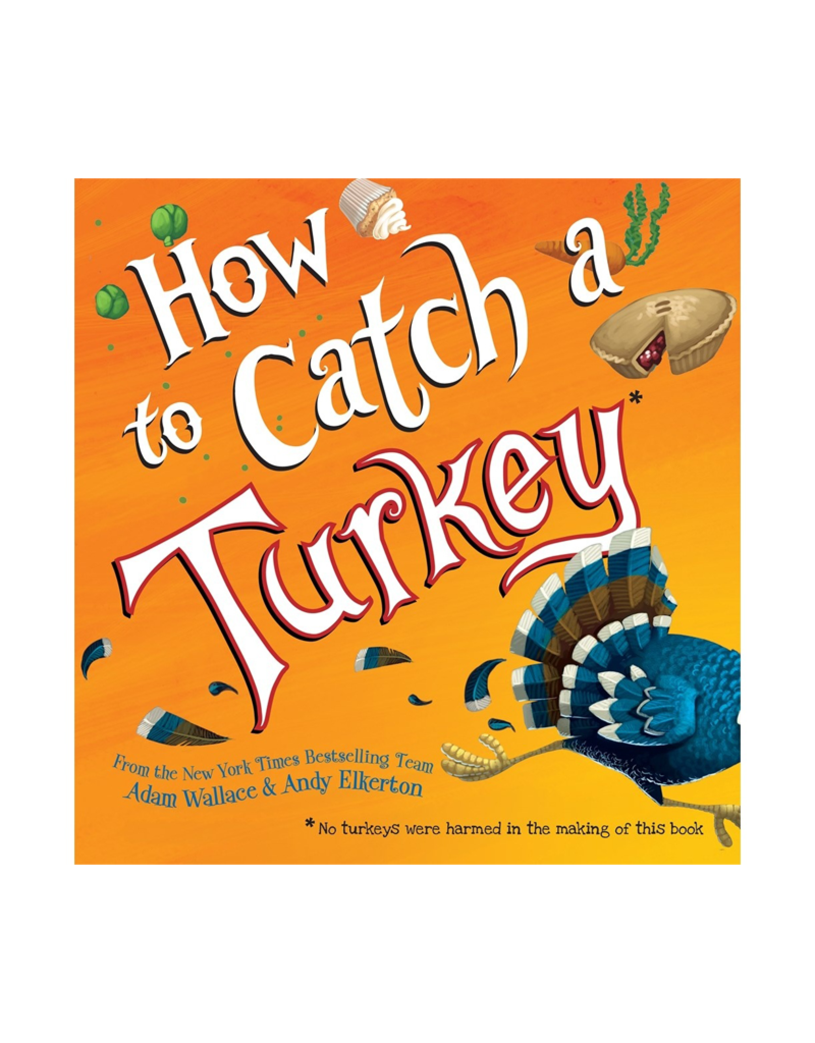 Sourcebooks How to Catch a Turkey