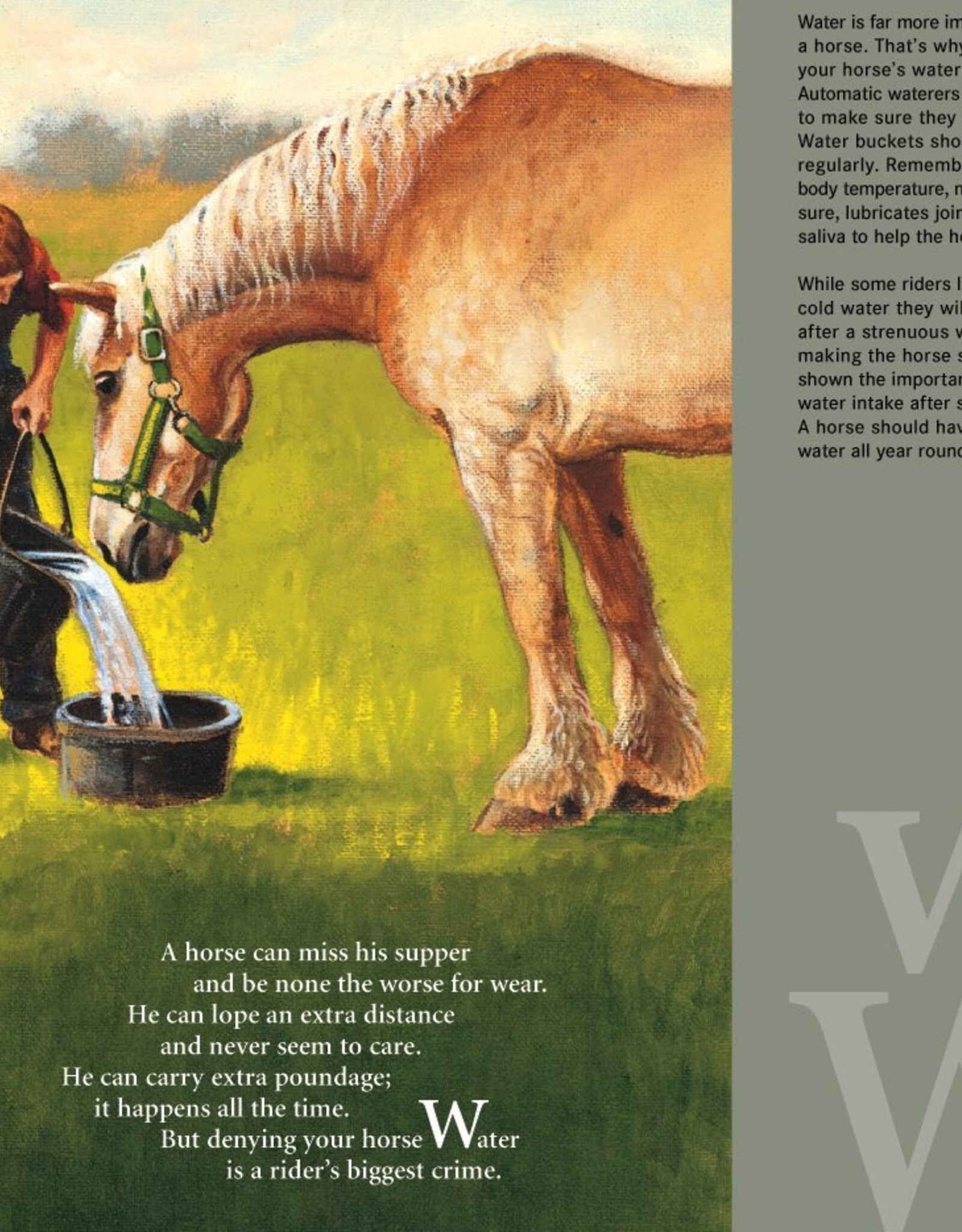 Sleeping Bear Press H is for Horse: An Equestrian Alphabet picture book