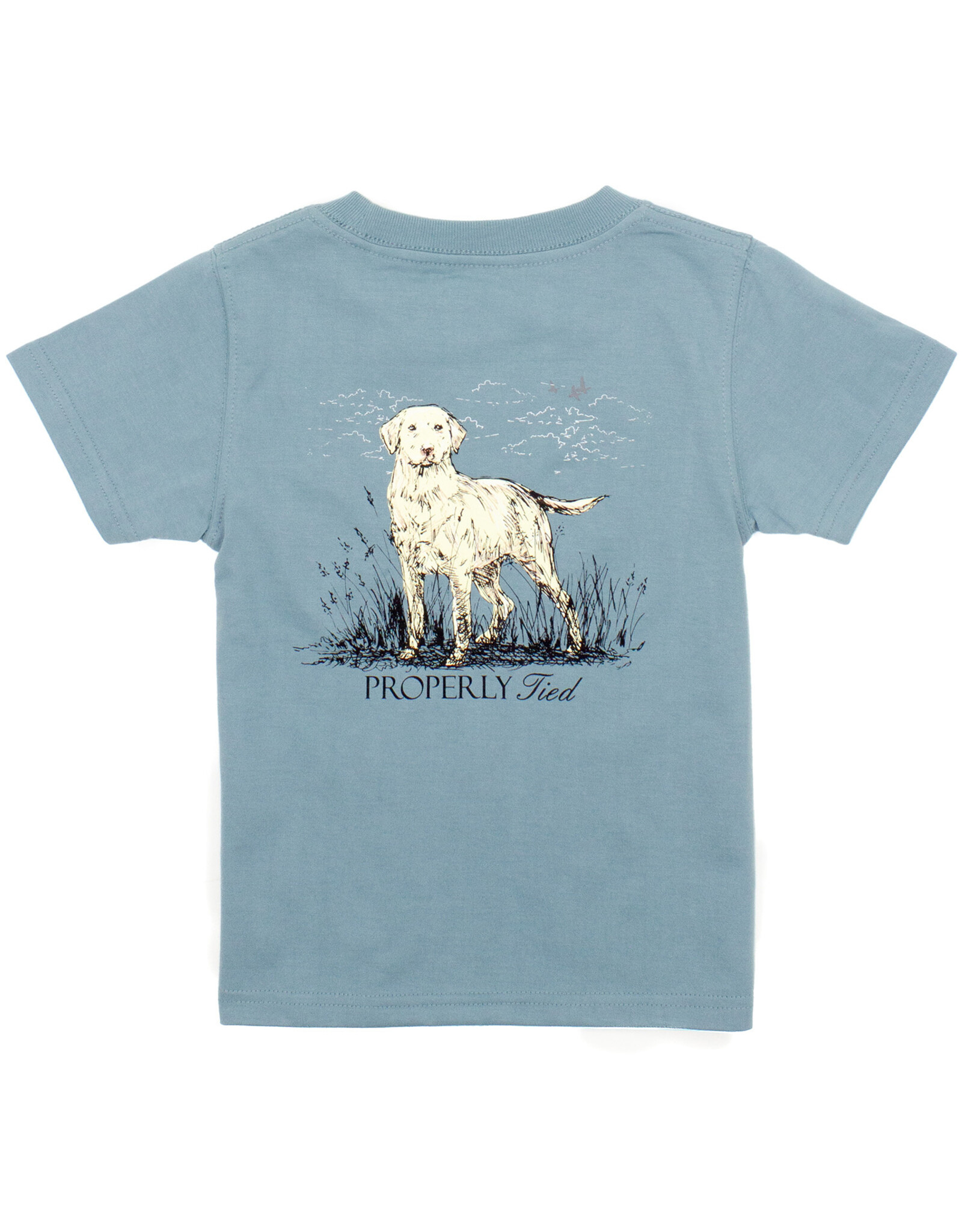 Properly Tied PT24 SS Tee Steel Blue Labrador