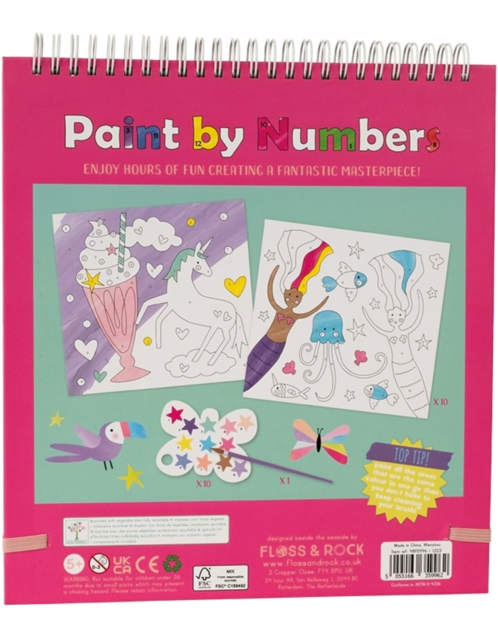 Floss and Rock Fantasy Paint By Numbers