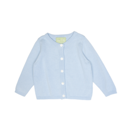 Sage & Lilly Light Blue Cardigan Sweater