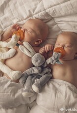 Bunnies By The Bay 100107 Bloom Bunny Silly Buddy Bunnies By The Bay 100107 Bloom Bunny Silly Buddy