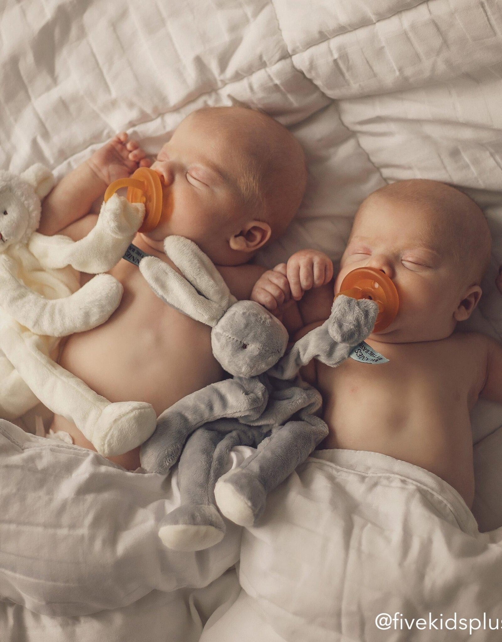 Bunnies By The Bay 100107 Bloom Bunny Silly Buddy