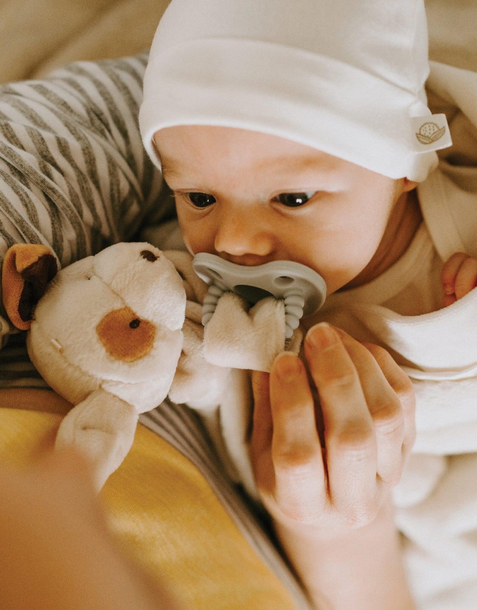 Bunnies By The Bay 100024 Skipit Silly Buddy