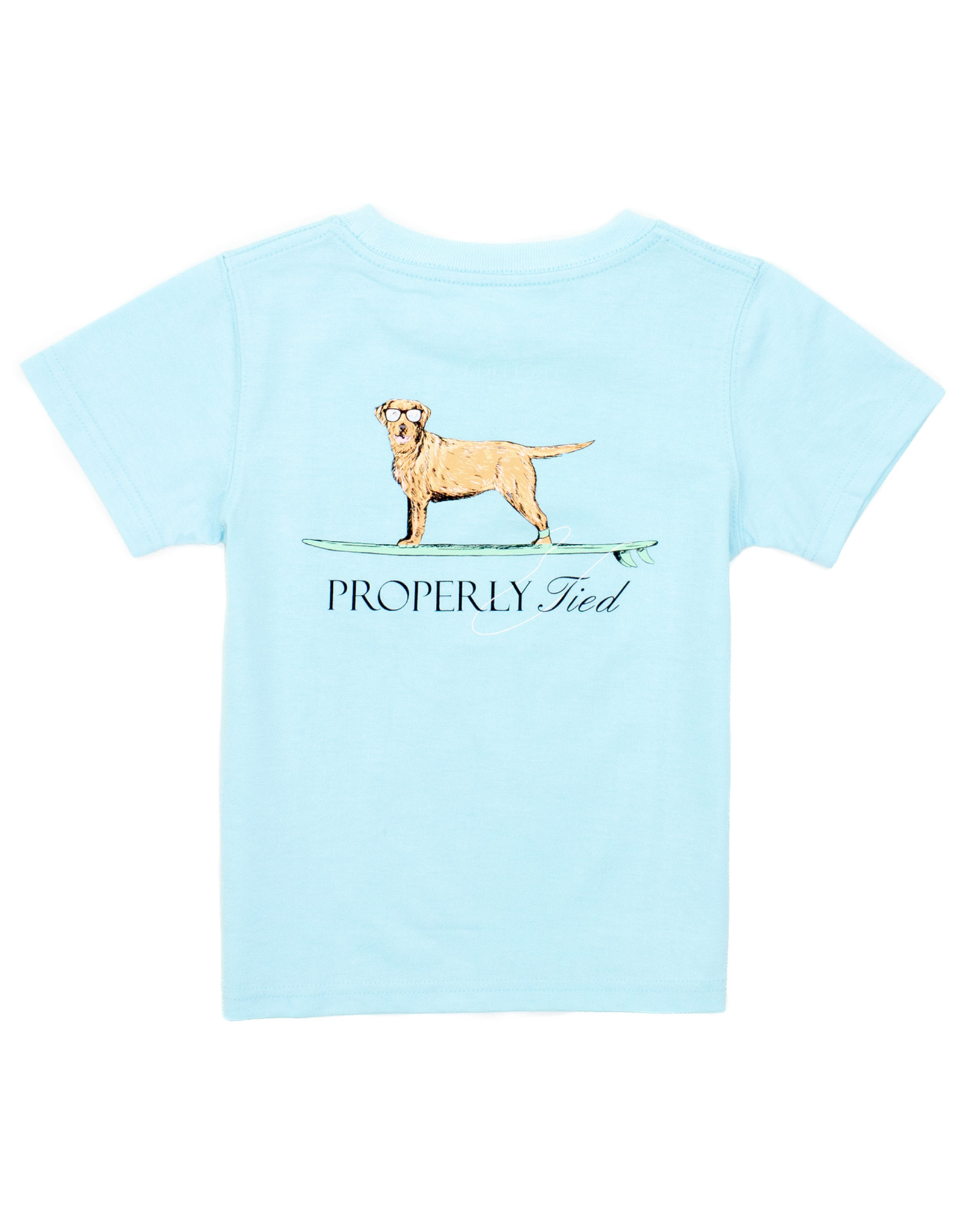 Properly Tied PT25 SS Tee Powder Blue Waverider