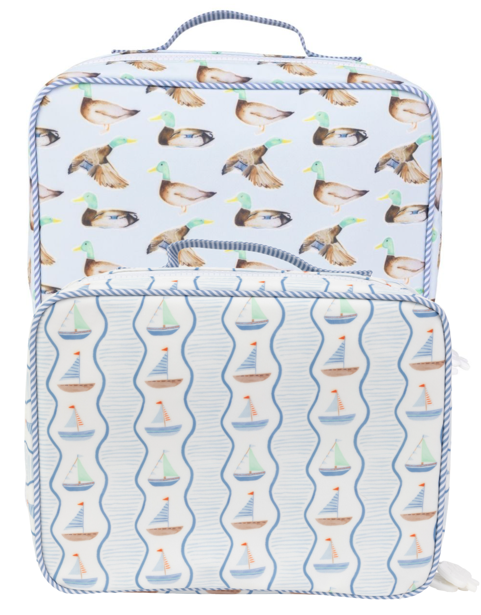 Apple of My Isla Laminated Lunchbox