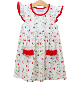 Trotter Street Kids (Size 3T) Pick of the Patch Dress