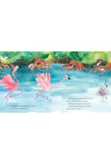 Sourcebooks Fussy Flamingo book