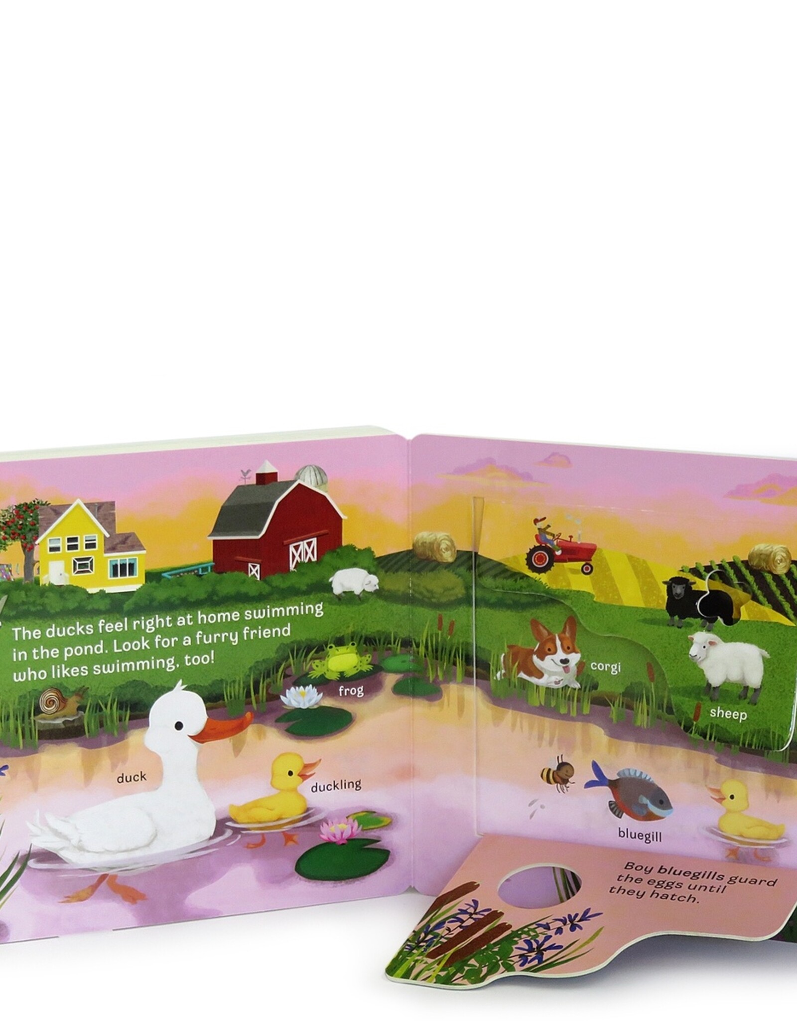 Cottage Door Press MOO Peek A Flap Board book