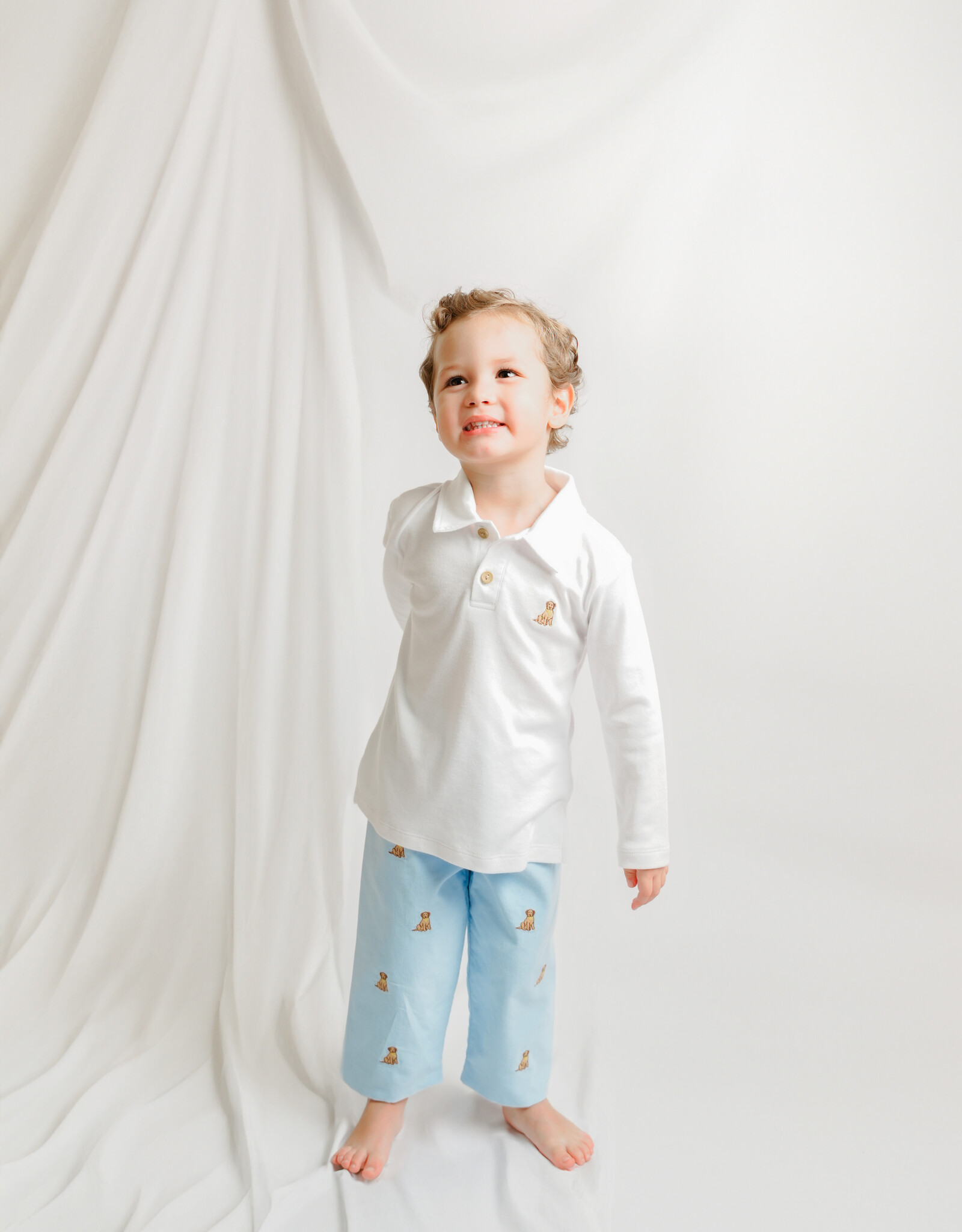 Zuccini ZEF25 Embroidered Labrador Light Blue  Corduroy Pant