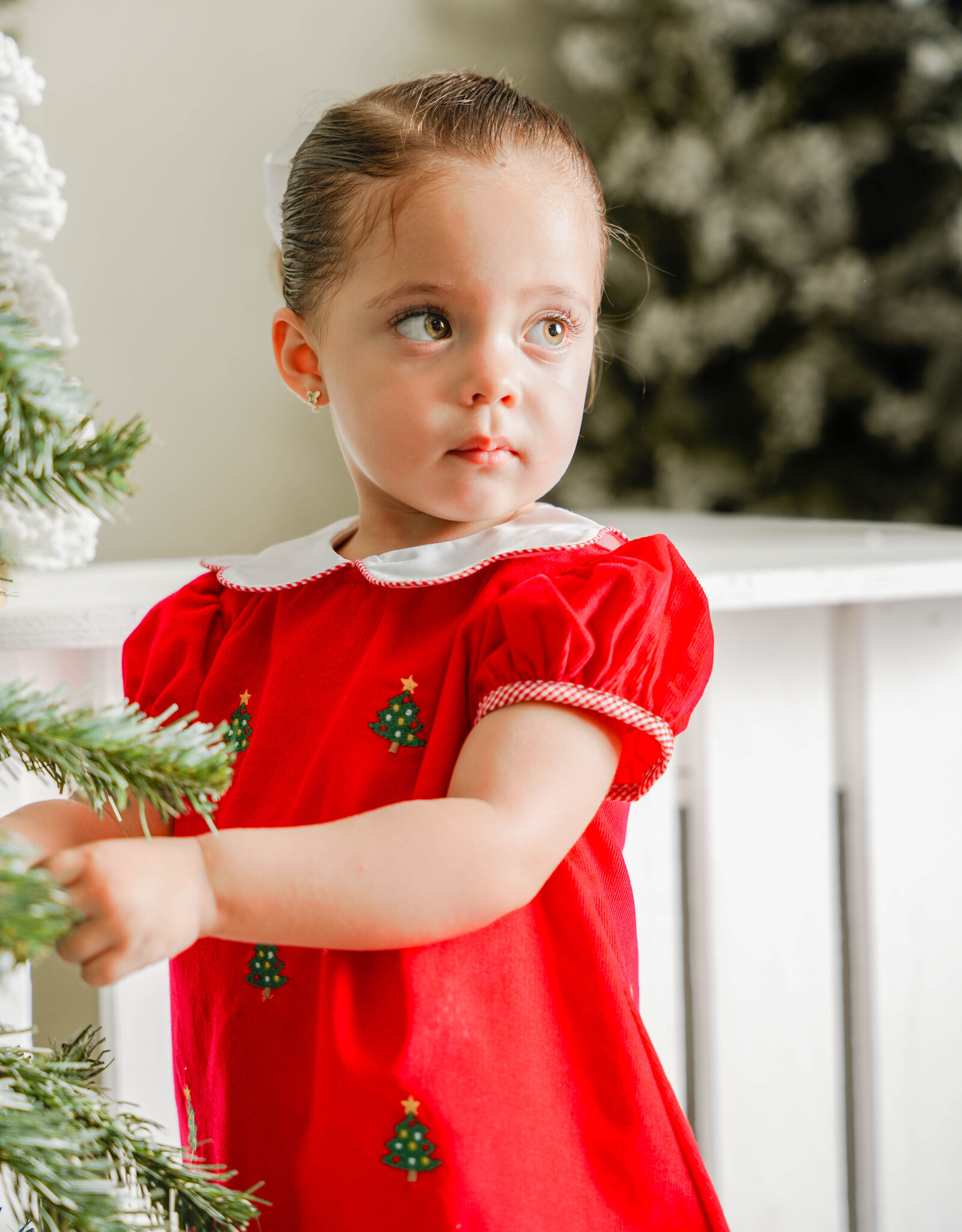 Zuccini ZEW25 Kendall Embroidered Christmas Dress