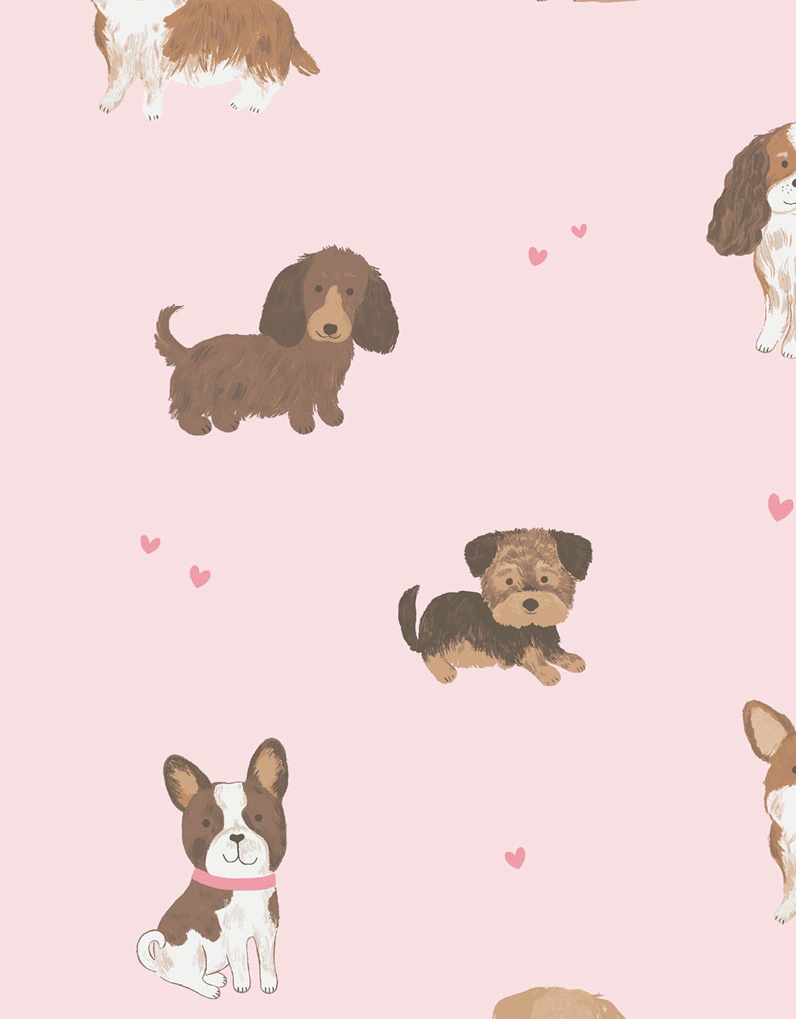 Angel Dear ADF25 French Terry Legging Set Pink Best Friend Dogs