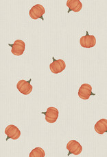Angel Dear ADF25 2 Way Zipper Footie Little Pumpkins