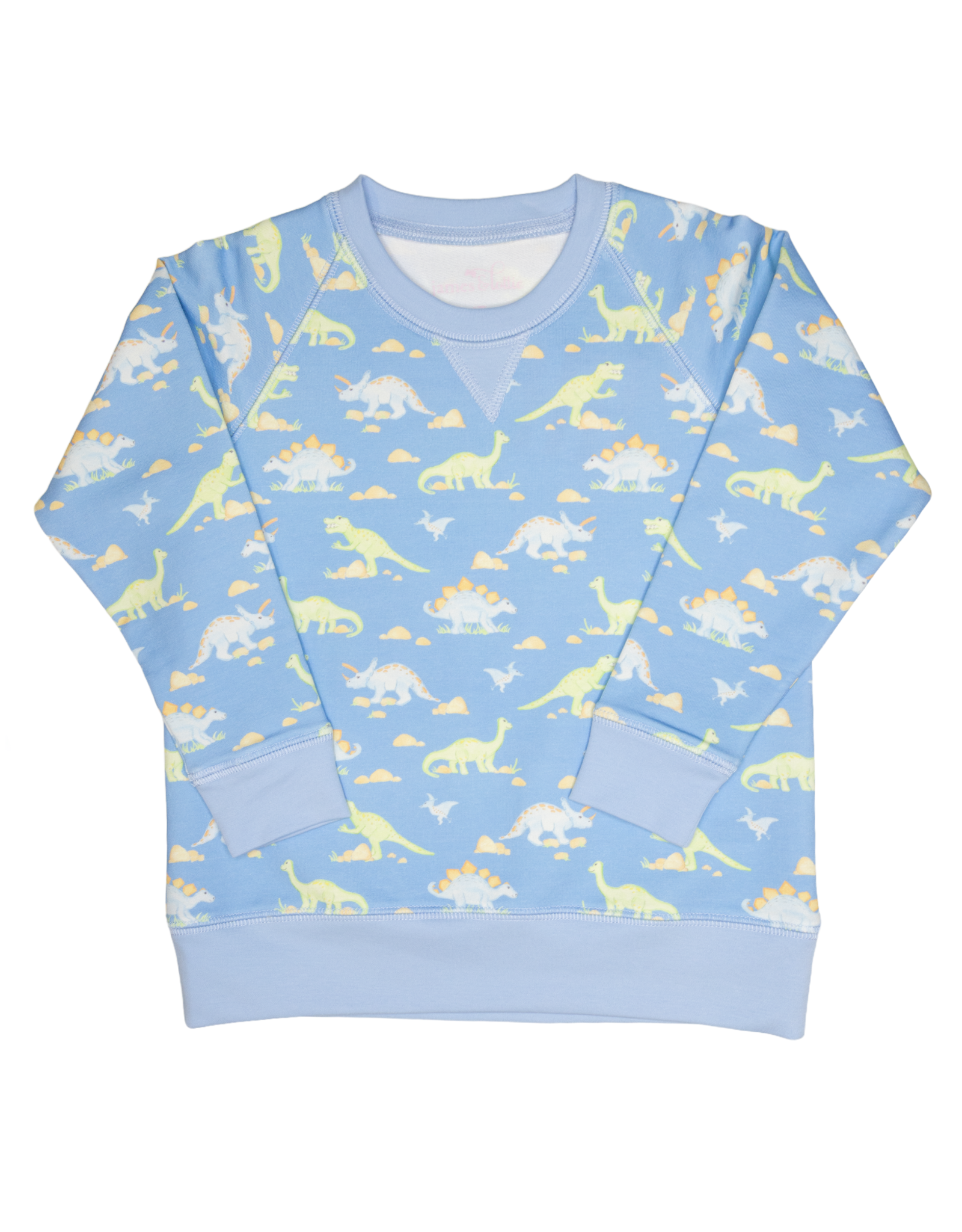James and Lottie JL25 Sam Sweatshirt Dinosaur Knit
