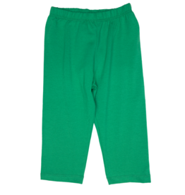 Three Sisters Green Knit Pant
