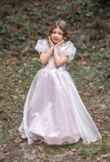 GreatPretenders 373 Platinum Princess Gown