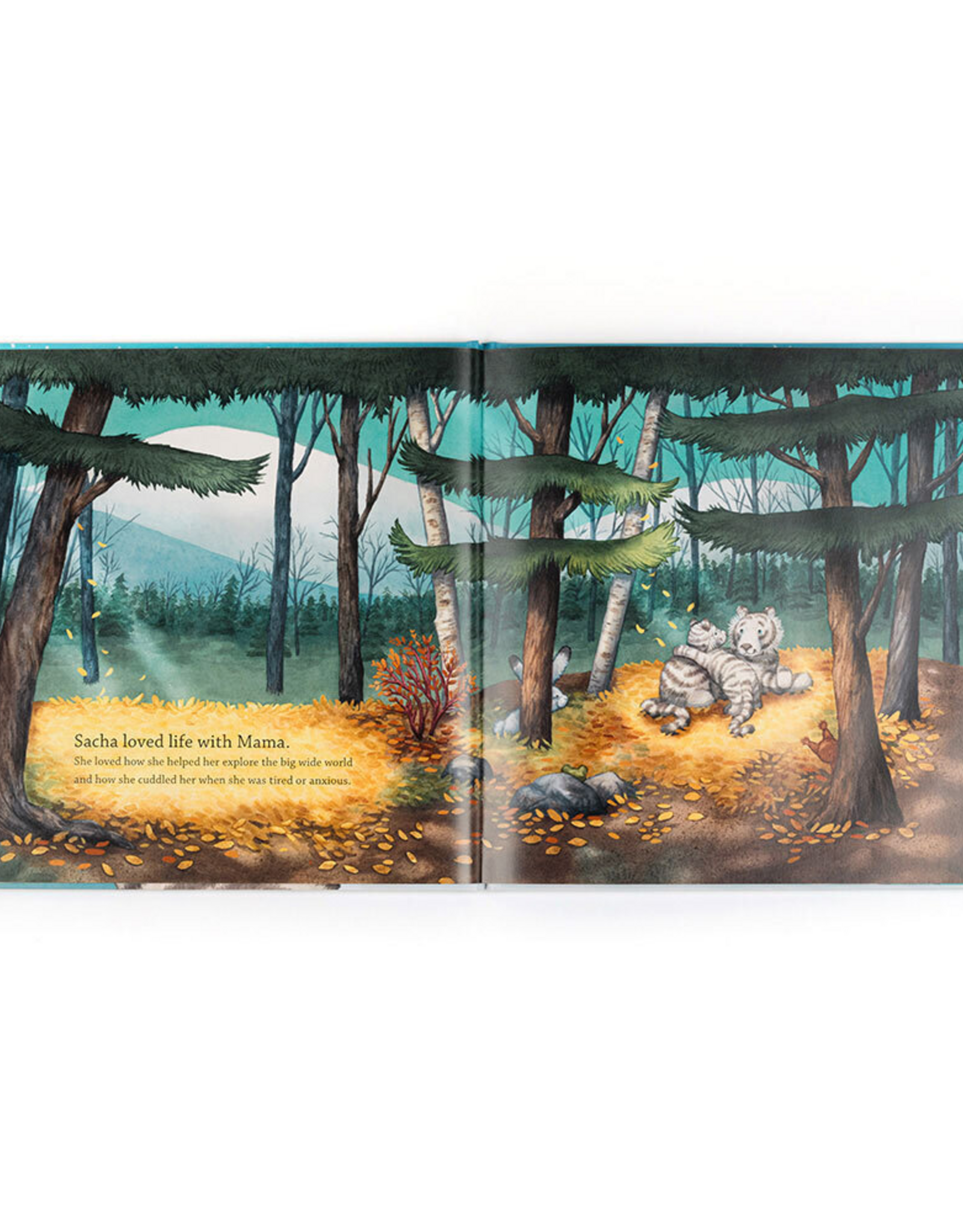 Jellycat Sacha and the Most Wonderful Thing Book