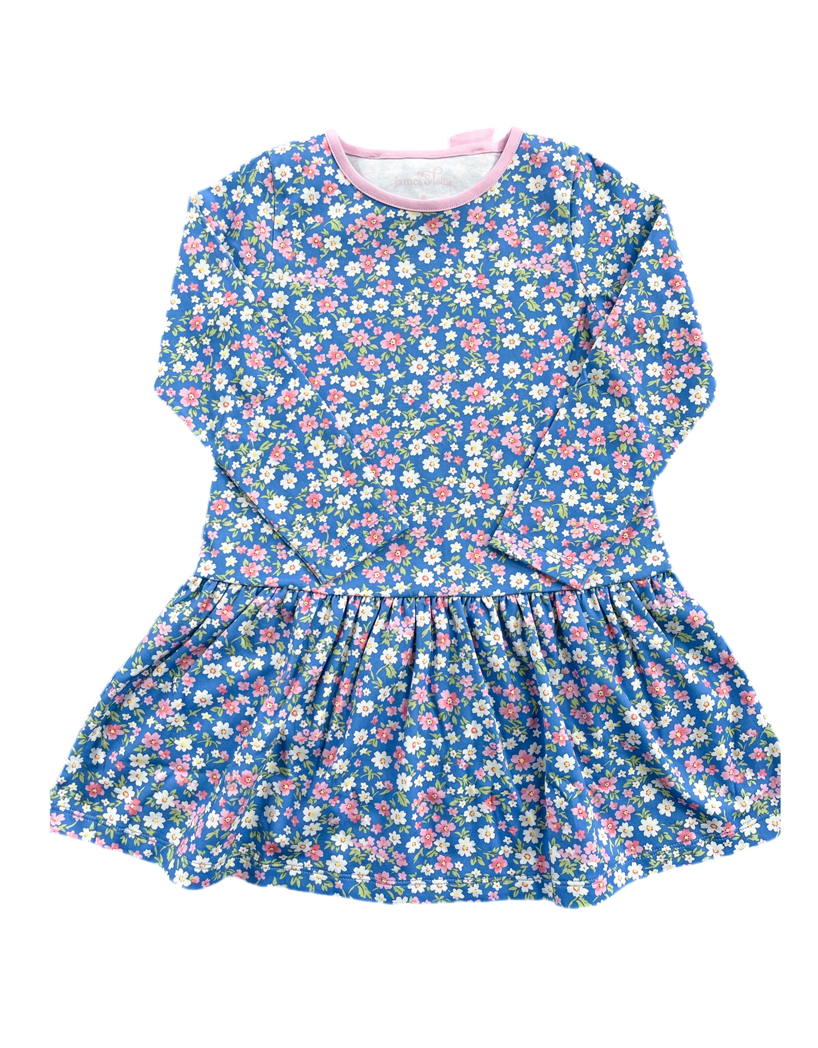 James and Lottie JL25 Loren Dress Fall Floral Knit