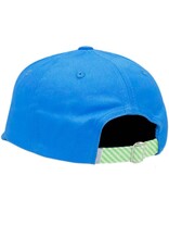 Bits & Bows BB Blue T-rex Hat