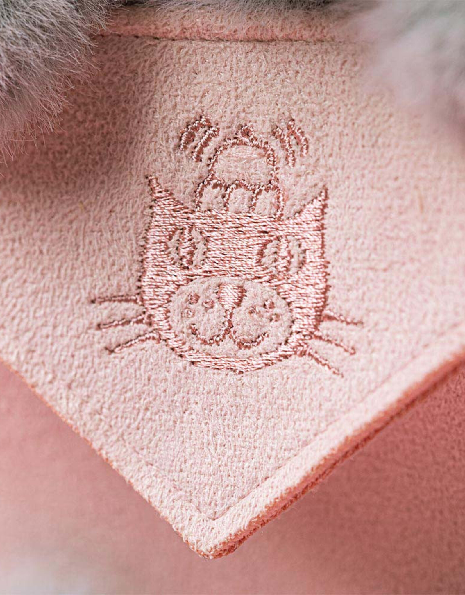 Jellycat Koala with  Message