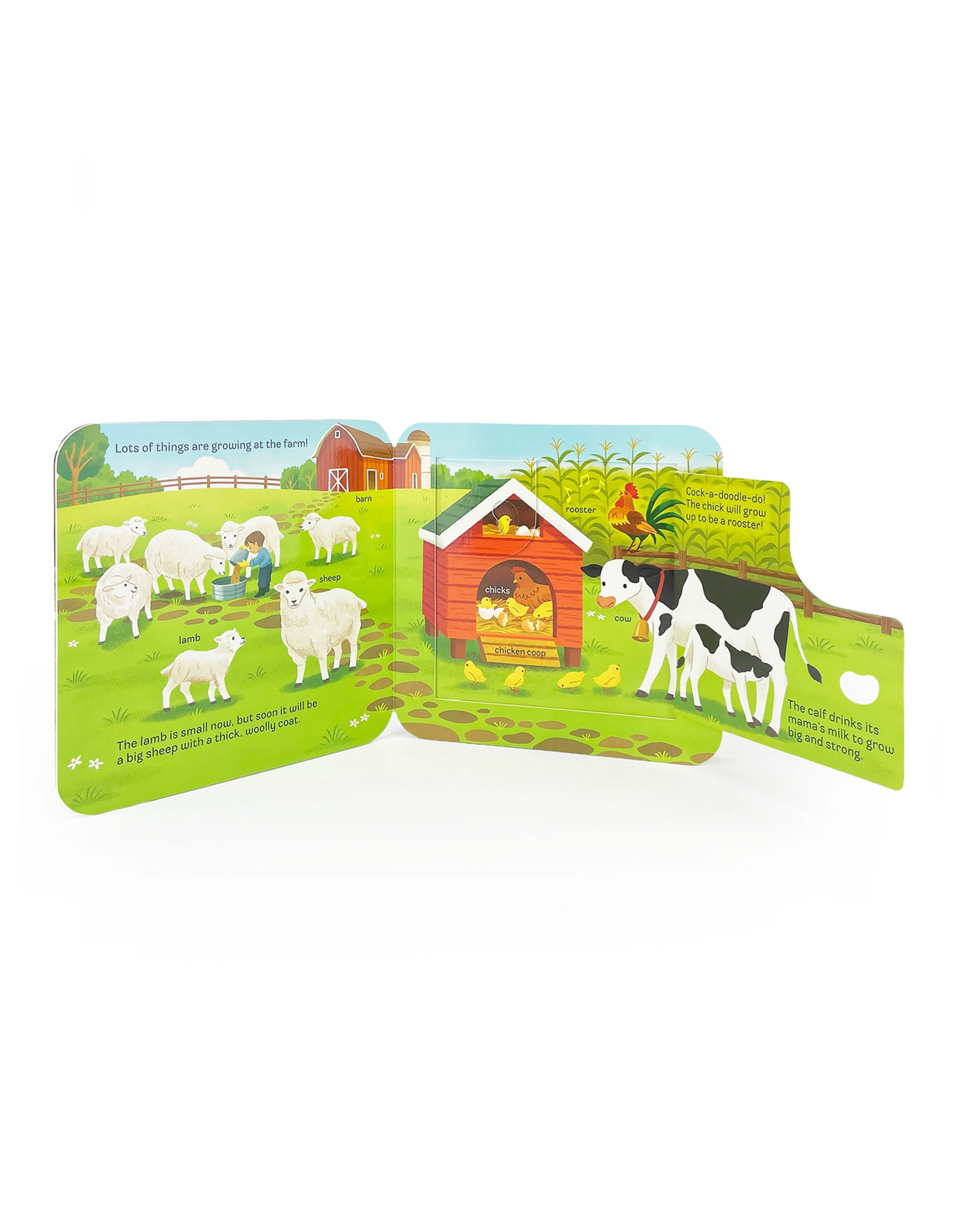 Cottage Door Press Grow Lift A Flap Board book