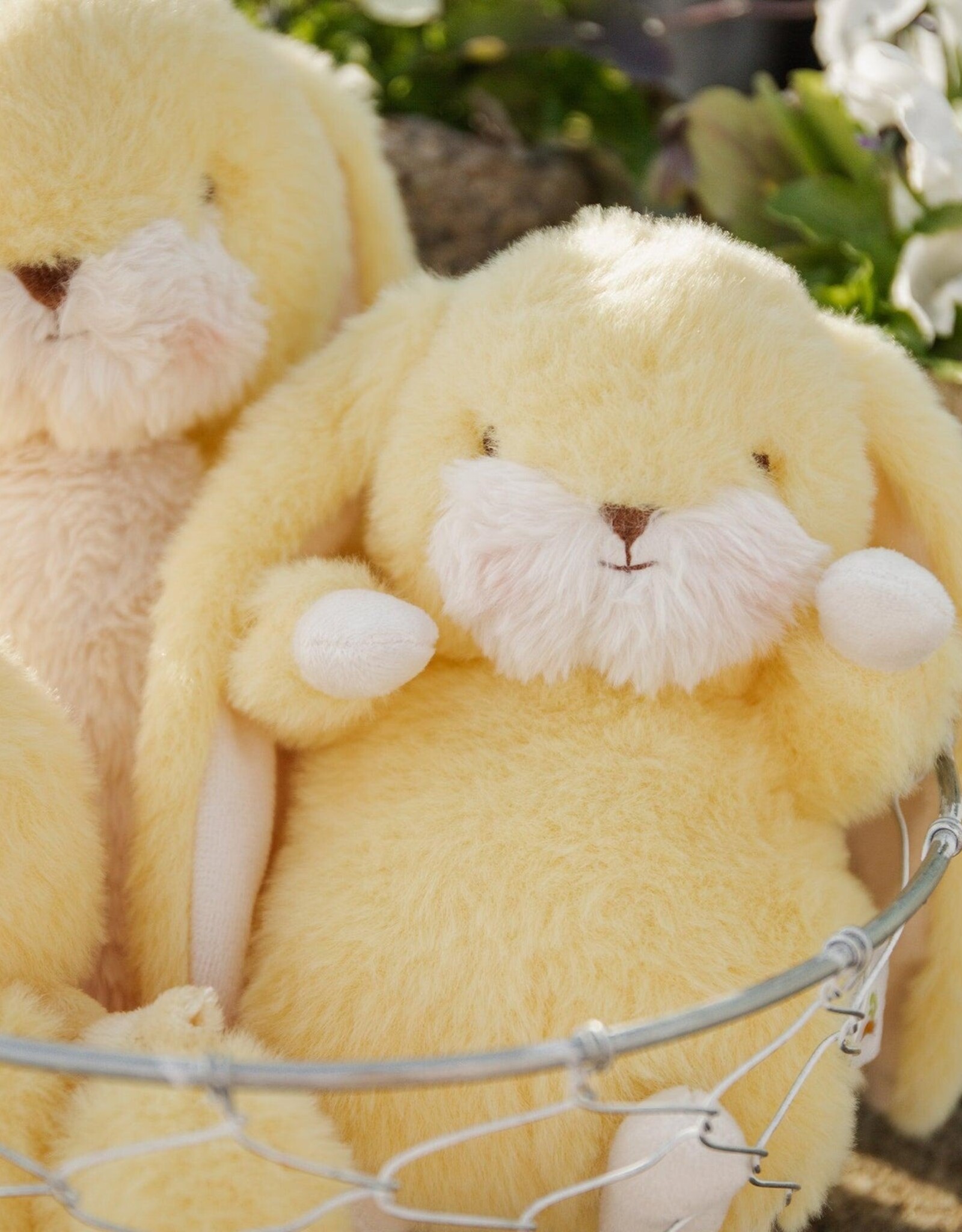 Bunnies By The Bay 190549 Tiny Nibble 8" Bunny Lemongrass