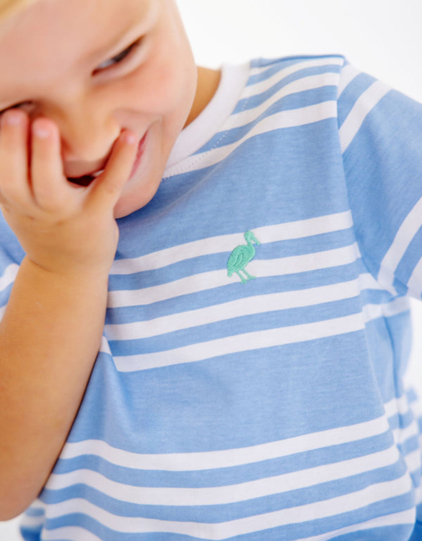 TBBC Carter Crewneck Saddle Ridge Stripe