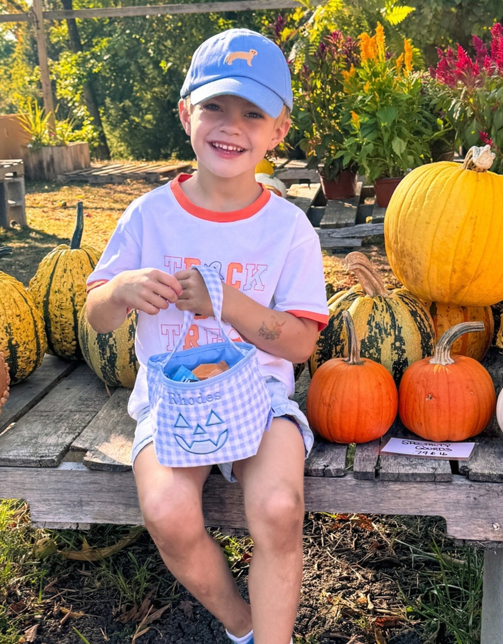 Bits & Bows BB Blue Lab Retriever Hat